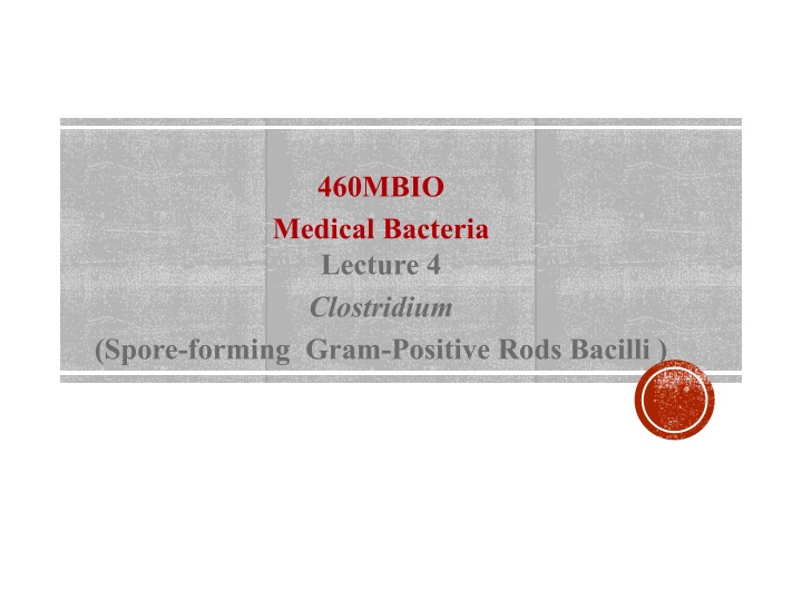 460mbio medical bacteria lecture 4 clostridium n.w