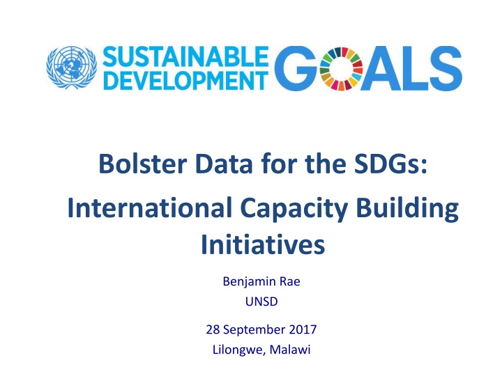 Overview of International Capacity Building Initiatives for Sustainable Development Goals