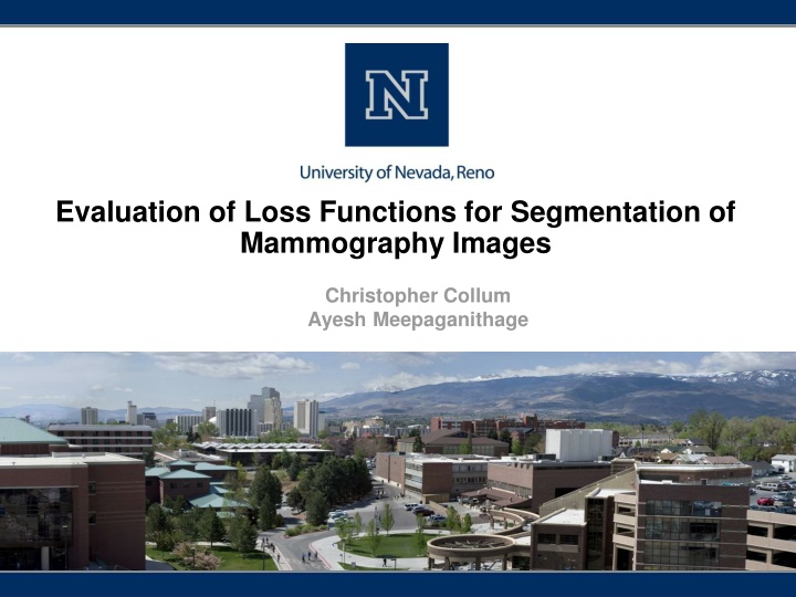 evaluation of loss functions for segmentation n.w