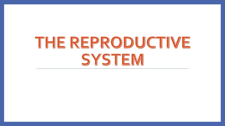 The Reproductive System Functions