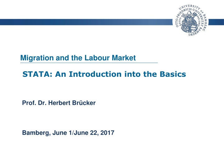 migration and the labour market n.w