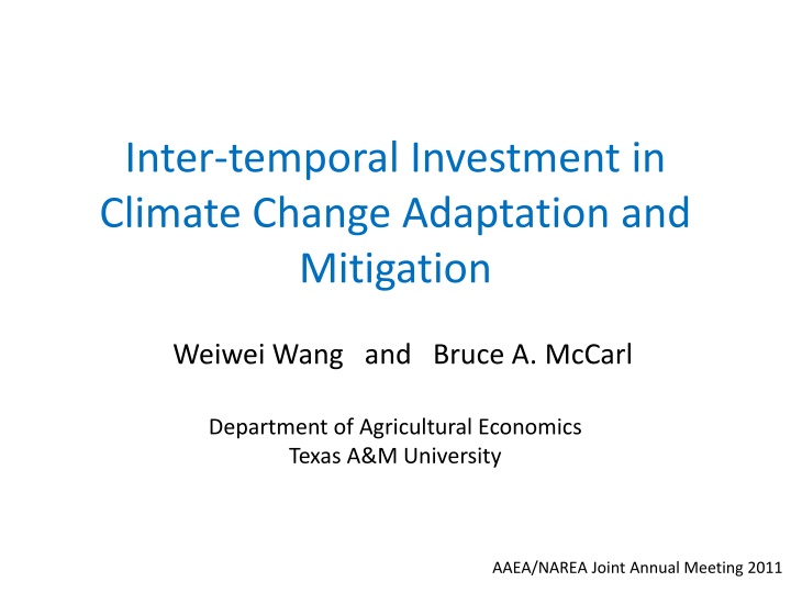 Inter-temporal Investment in Climate Change Adaptation