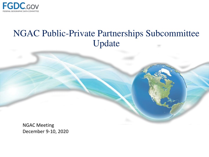 ngac public private partnerships subcommittee n.w