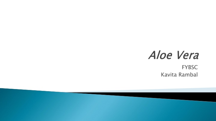 Medicinal Uses of Aloe Vera: Benefits and Remedies