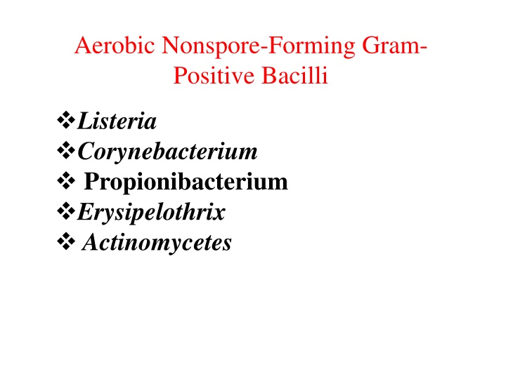 aerobic nonspore forming gram positive bacilli n.w