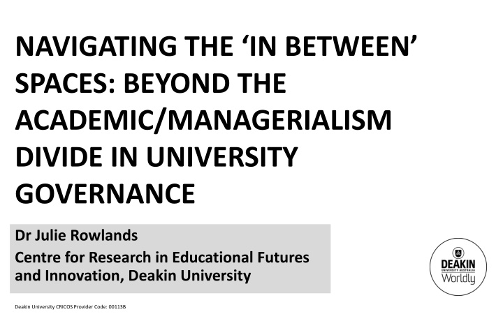 Navigating the In-Between Spaces in University Governance