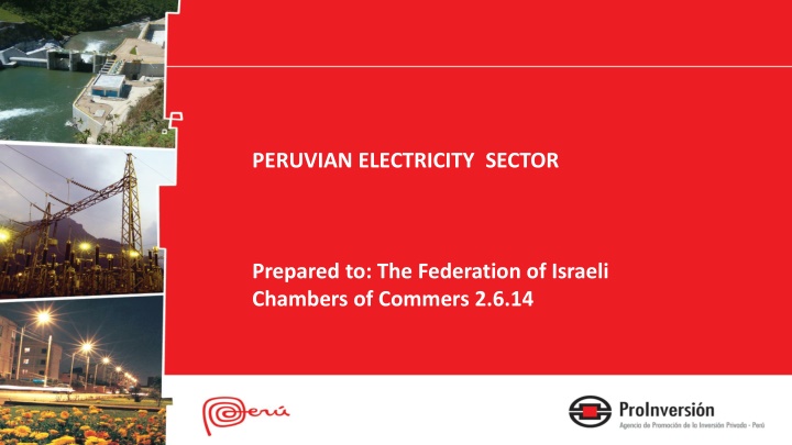 Peruvian Electricity Sector Overview