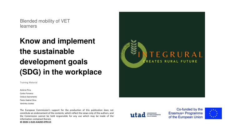 Blended Mobility of VET Learners: Implementing Sustainable Development Goals in the Workplace