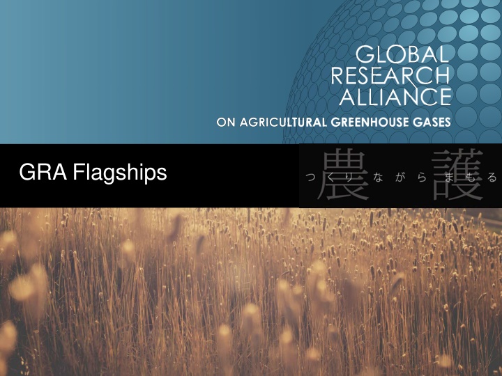 GRA Flagships Strategic Plan for Sustainable Solutions