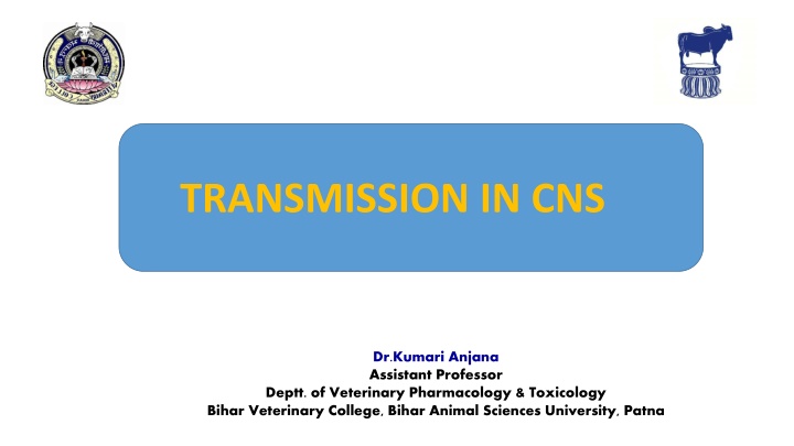 Neural Transmission in CNS