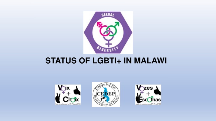 Status of LGBTI+ in Malawi - Current Legal Situation and Advocacy Efforts