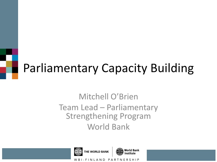 Parliamentary Capacity Building: Strengthening Programs and Networks