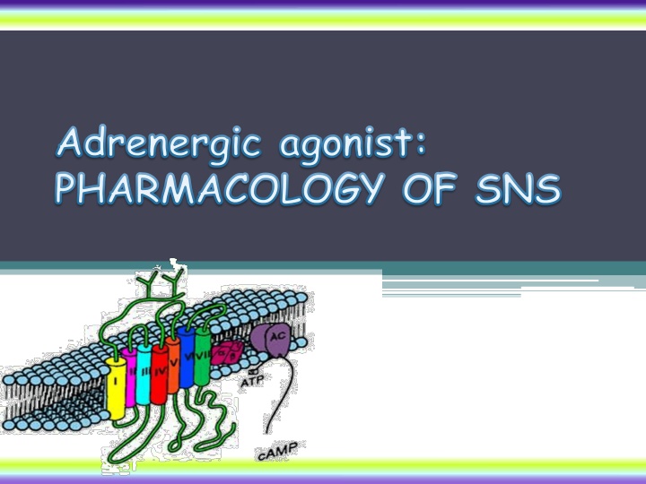 adrenergic agonist pharmacology of sns n.w
