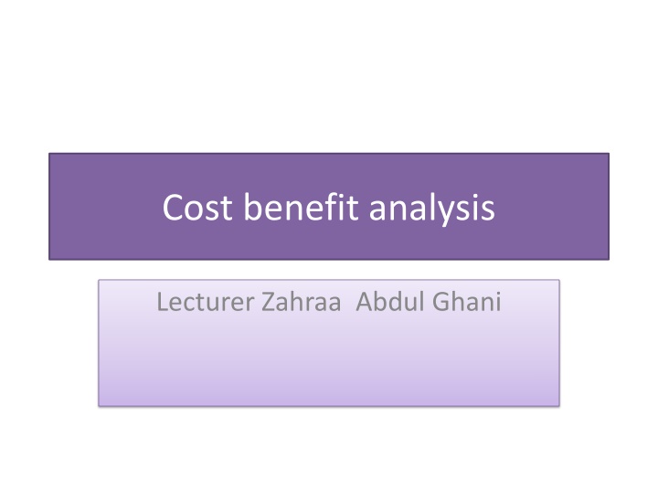 Cost-Benefit Analysis: Advantages, Disadvantages, and Program Selection