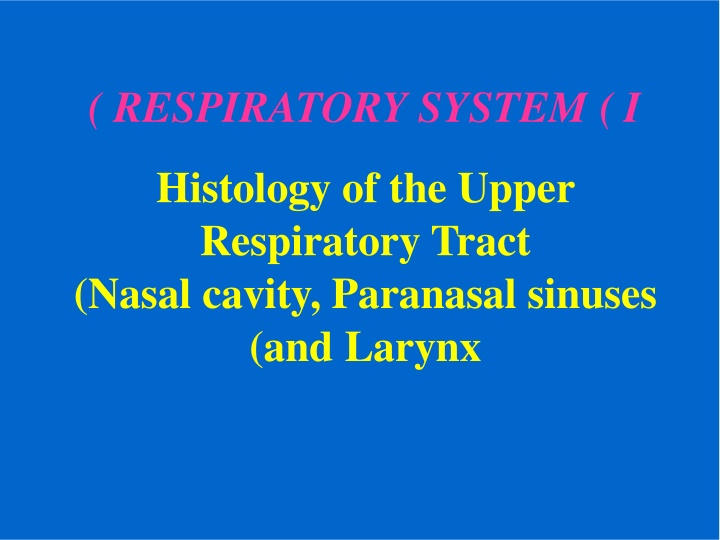 respiratory system i n.w
