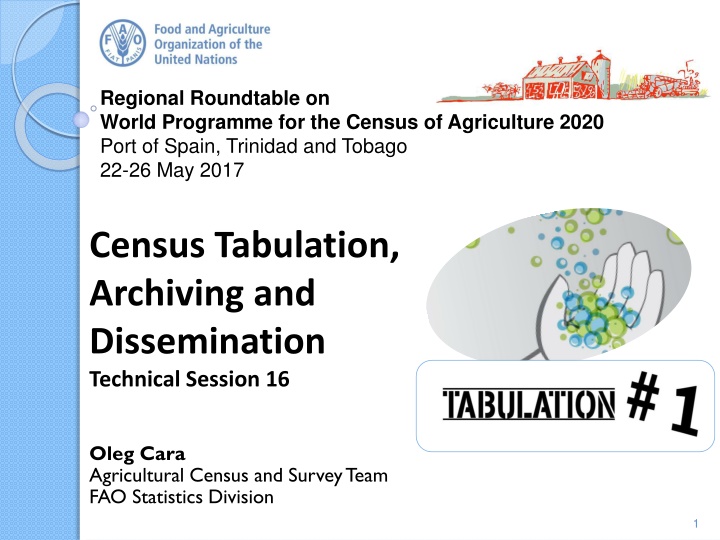 Regional Roundtable on 2020 Agricultural Census Tabulation