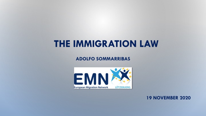Immigration Law Adolfo Sommaribas 19 November 2020