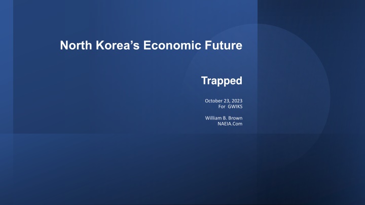 north korea s economic future n.w