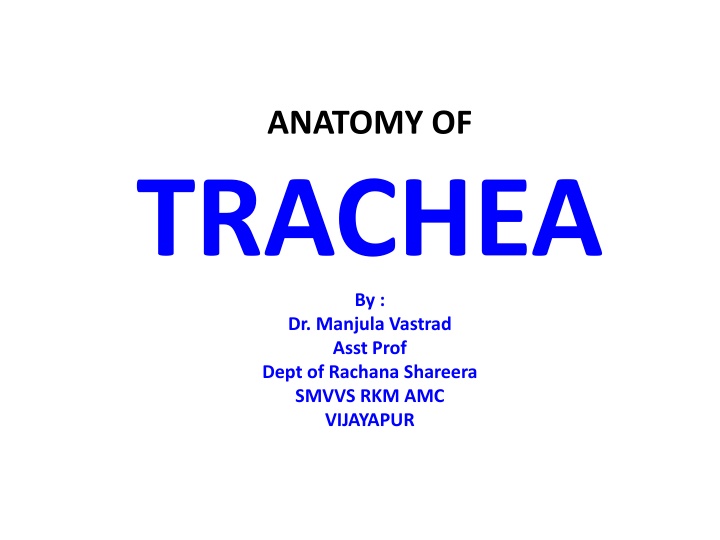 Anatomy of Trachea: Structure and Relations