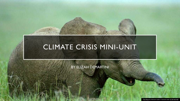 Climate Crisis Mini-Unit Overview