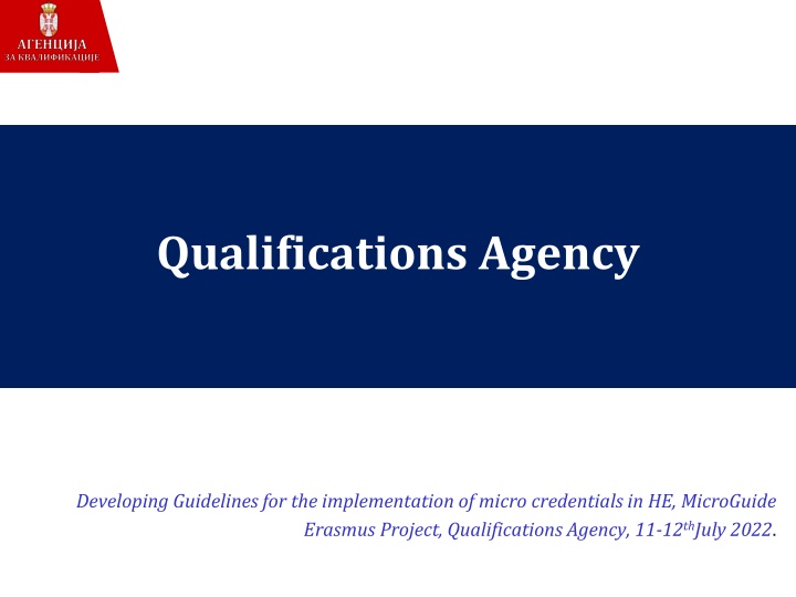 Developing Guidelines for Micro Credentials in Higher Education