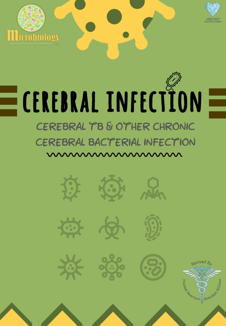 Chronic Cerebral and Meningeal Infection Overview