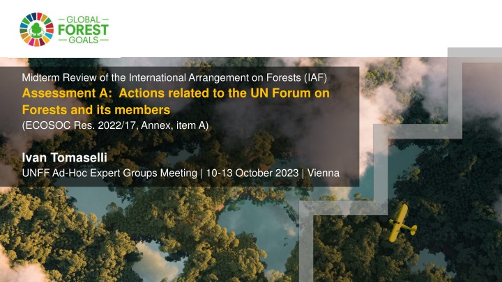 midterm review of the international arrangement n.w