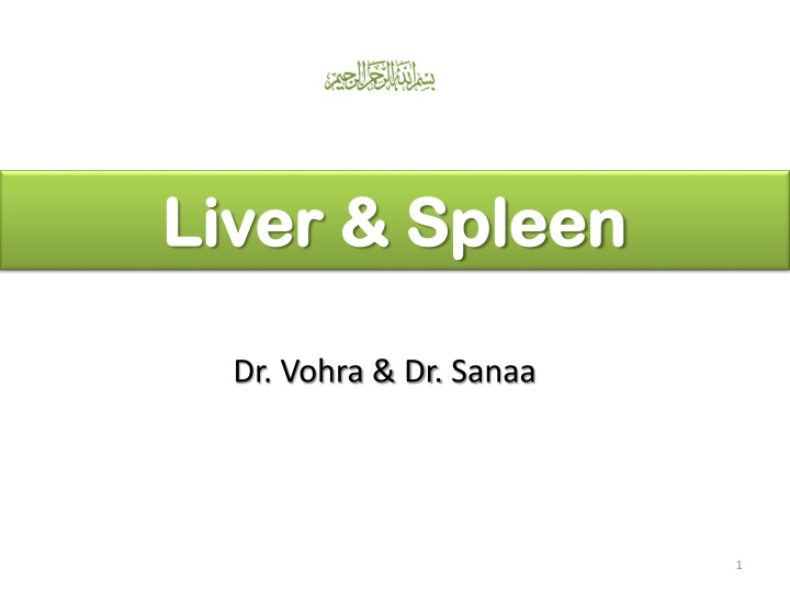 liver spleen liver spleen n.w