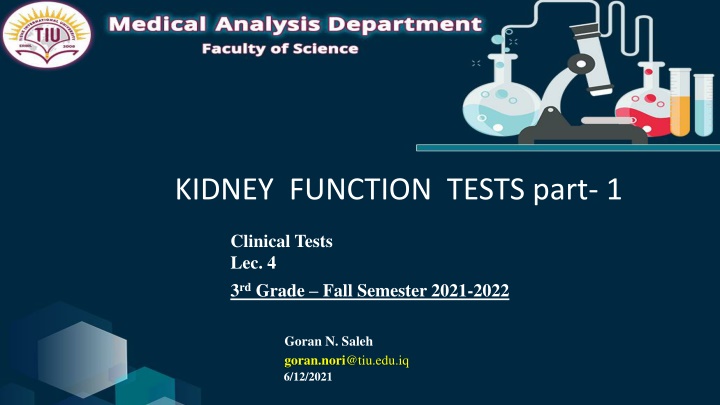 Kidney Function Tests: Clinical Insights