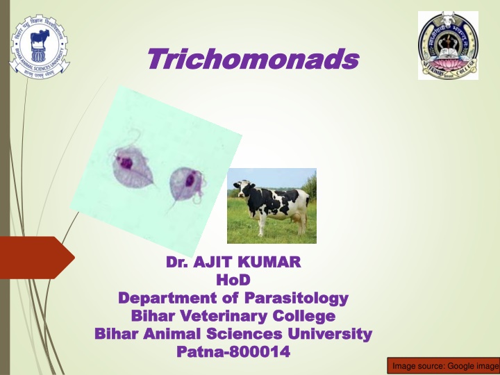 bihar animal sciences university n.w