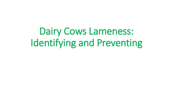 Preventing Dairy Cows Lameness - Identifying & Addressing Issues