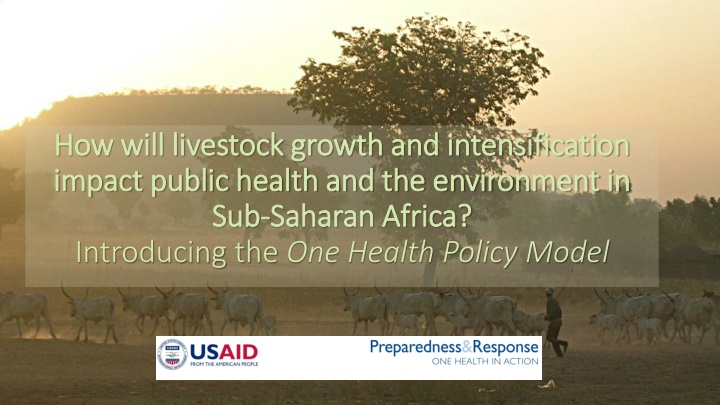 Livestock Growth and Intensification Impact in Sub-Saharan Africa