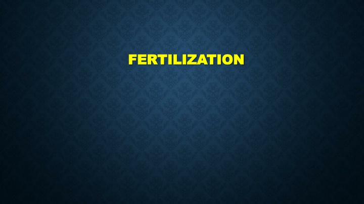 Overview of Fertilization Process in Reproduction