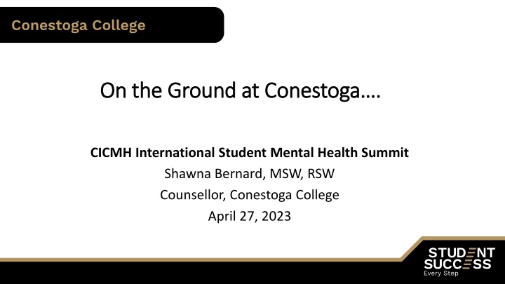 Mental Health Impact and Challenges Faced by International Students