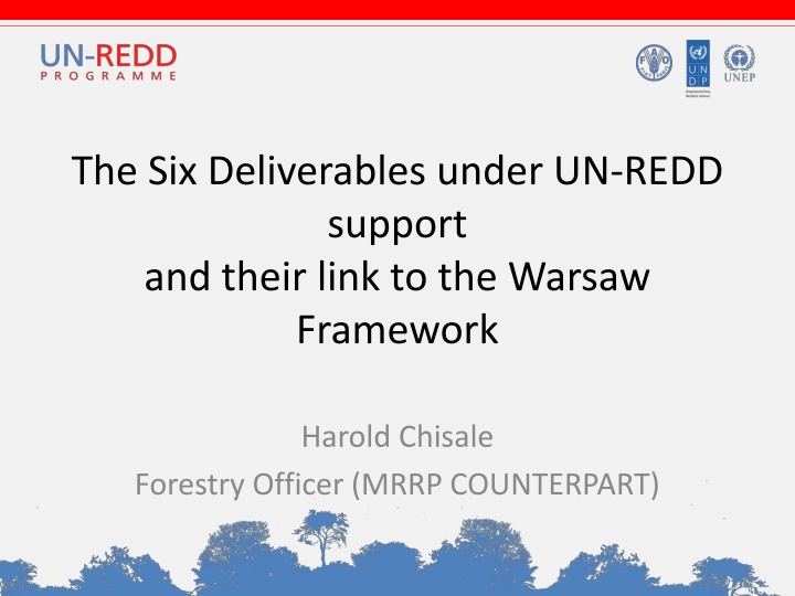 National Leadership and Stakeholder Engagement in REDD+ Support
