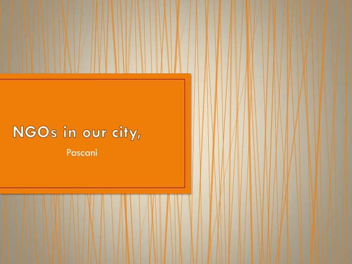 ngos in our city pascani n.w