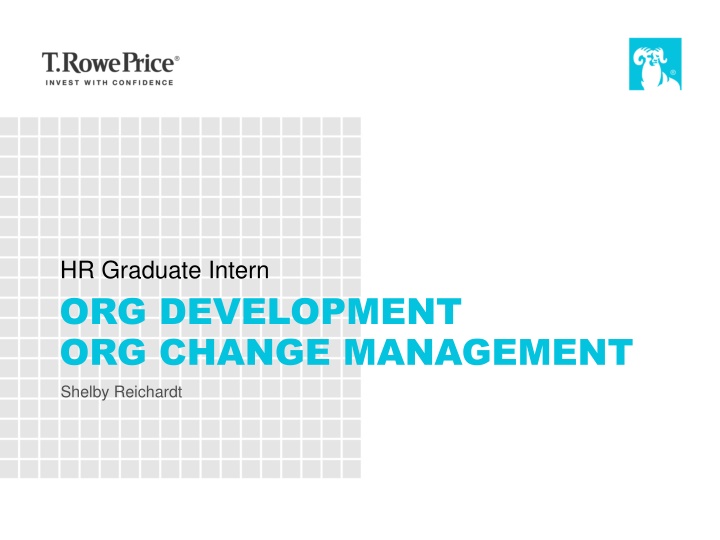 hr graduate intern org development org change n.w