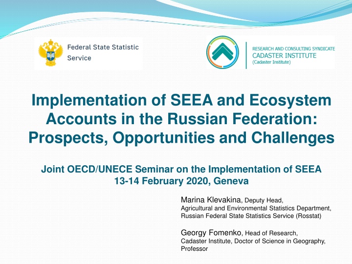 Implementation of SEEAs and Ecosystem Accounts in Russia: Prospects and Challenges