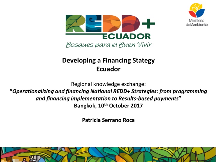 developing a financing stategy ecuador n.w