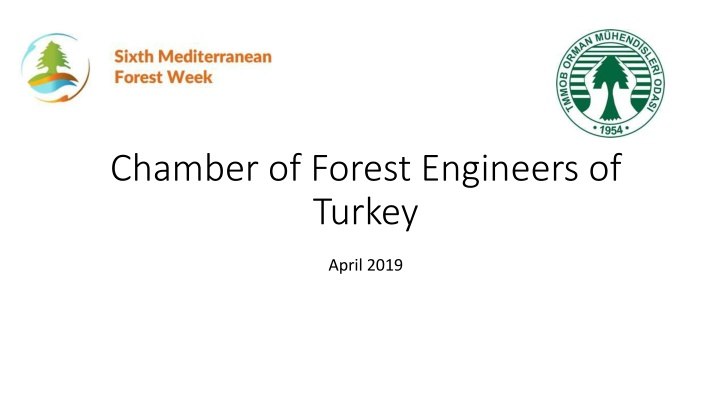 Chamber of Forest Engineers of Turkey - Non-Governmental Organization Recognized by the Turkish Constitution