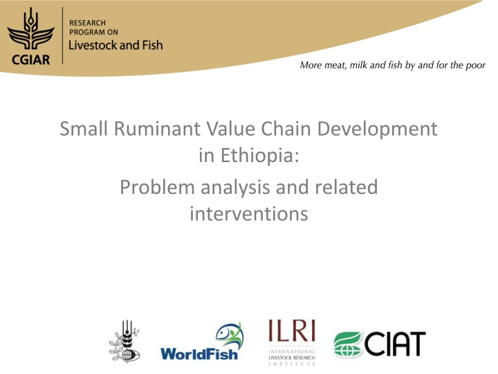 small ruminant value chain development n.w