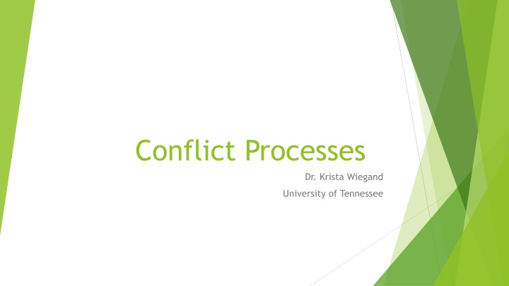 Conflict Processes and Peace Studies Overview