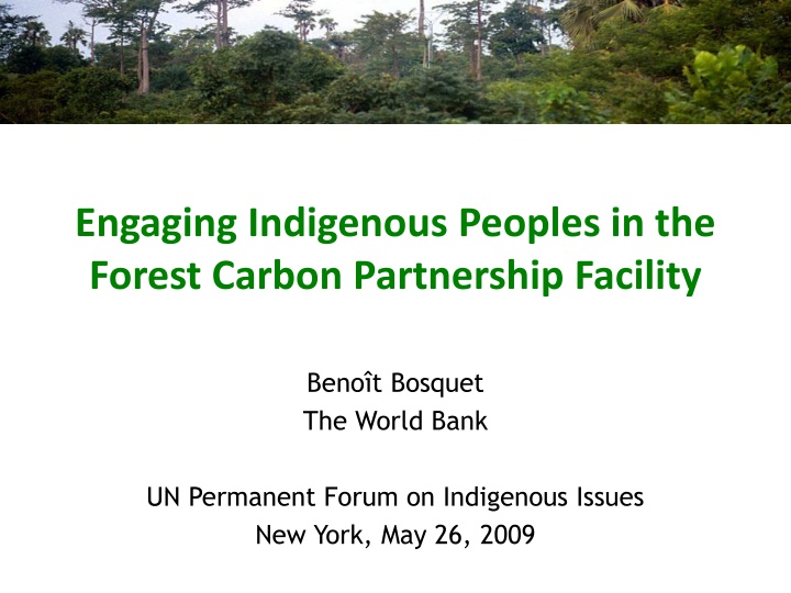 Engaging Indigenous Peoples in Forest Carbon Partnership