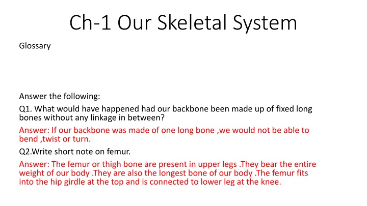 Our Skeletal System Glossary - Backbone, Femur, Joints, and Functions