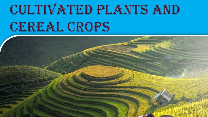 Agriculture and Economic Botany Overview
