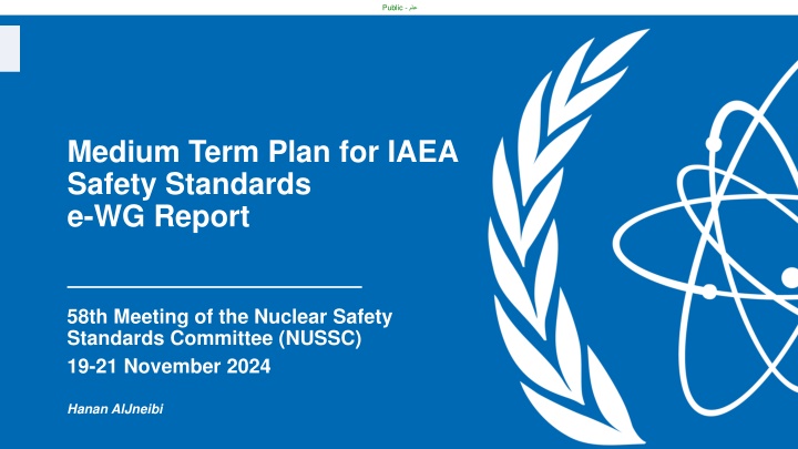 Medium-Term Plan for IAEA Safety Standards e-WG Report