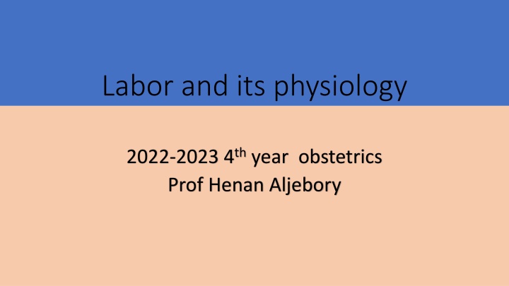 Labor Physiology in Obstetrics