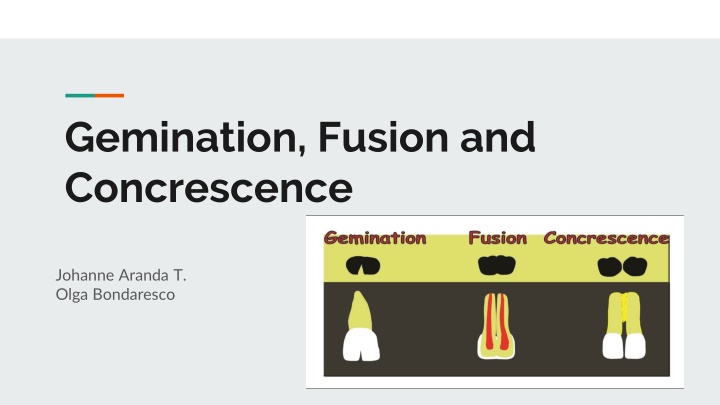 gemination fusion and concrescence n.w