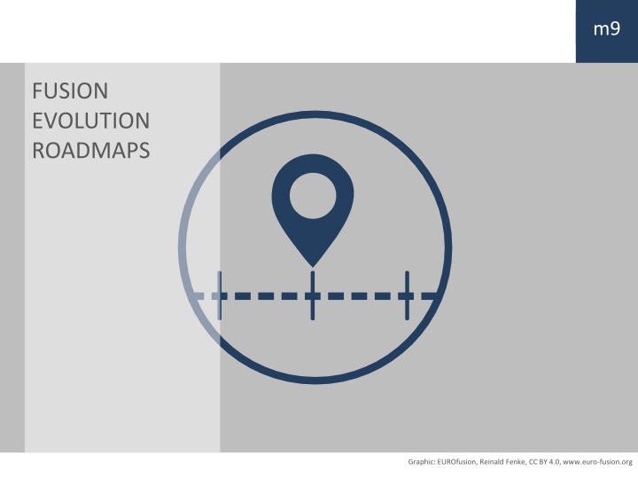 Fusion Evolution Roadmaps - Progress in Fusion Research
