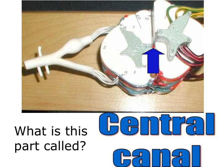 central n.w